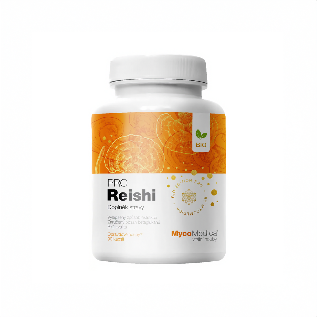 Reishi: prírodná podpora imunity a celkového zdravia