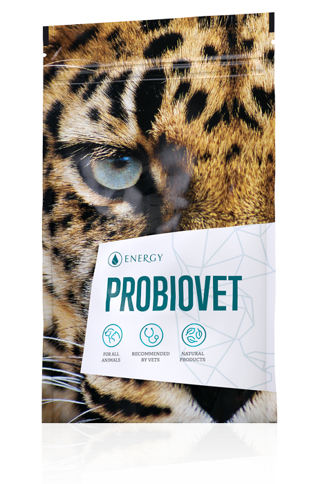 Energy Probiovet 90 tabliet